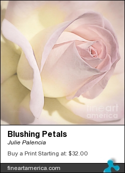 Blushing Petals by Julie Palencia - Photograph - Photography