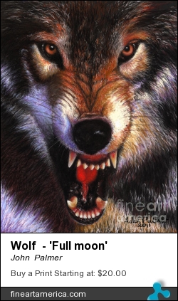 Wolf - 'full Moon' by John  Palmer - Painting - Pastel