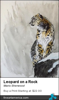 Leopard On A Rock by Maris Sherwood - Painting - Watercolor On Paper