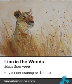 Lion In The Weeds by Maris Sherwood - Painting - Watercolor On Paper