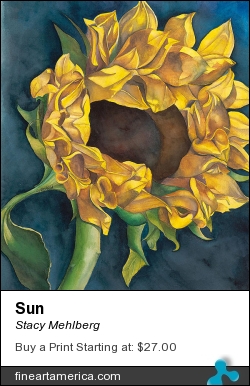 sun by Stacy Mehlberg - Painting - Watercolor