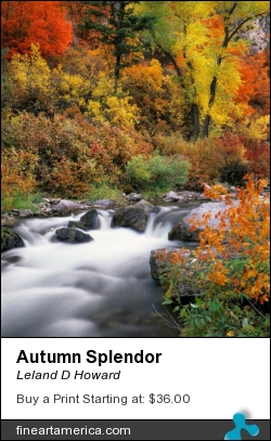Autumn Splendor by Leland D Howard - Photograph - Fine Art Nature Photography