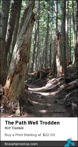 The Path Well Trodden by Kirt Tisdale - Photograph