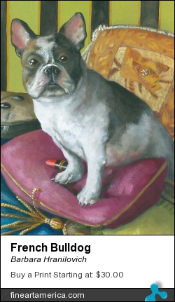 French Bulldog by Barbara Hranilovich - Painting - Gouache On Paper
