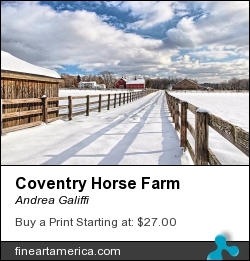 Coventry Horse Farm by Andrea Galiffi - Photograph