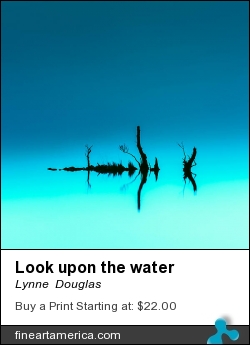 Look Upon The Water by Lynne  Douglas - Photograph - Giclee Print