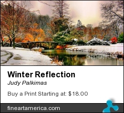 Winter Reflection by Judy Palkimas - Photograph - Photography,photograph,digital
