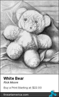 White Bear by Rick Moore - Drawing - Graphite On Paper