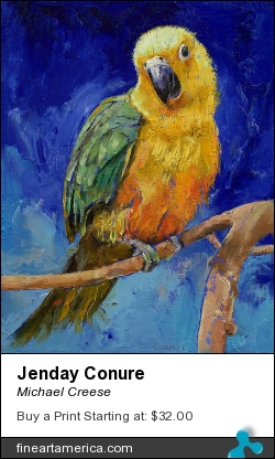 Jenday Conure by Michael Creese - Painting - Oil On Canvas