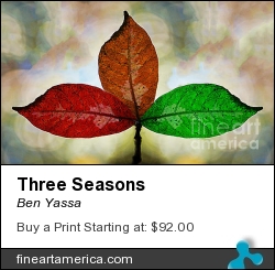 Three Seasons by Ben Yassa - Photograph
