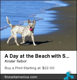 A Day At The Beach With Selkie by Kristal Talbot - Photograph - Photo