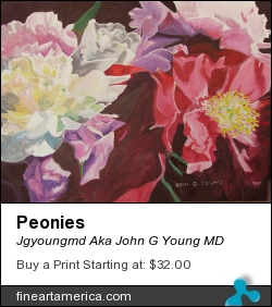 Peonies by Jgyoungmd Aka John G Young MD - Painting - Acrylic