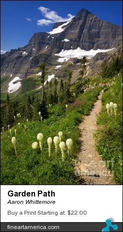 Garden Path by Aaron Whittemore - Photograph - Photographic Images