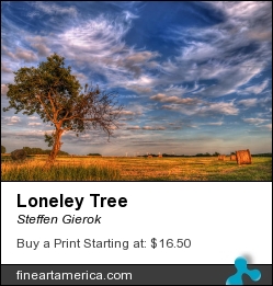 Loneley Tree by Steffen Gierok - Pyrography - Photo