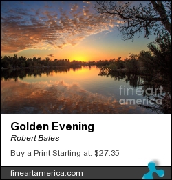 Golden Evening by Robert Bales - Photograph - Photo