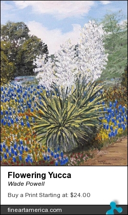 Flowering Yucca by Wade Powell - Painting - Oil On Canvass