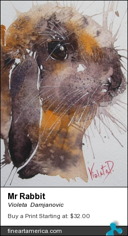 Mr Rabbit by Violeta  Damjanovic - Painting