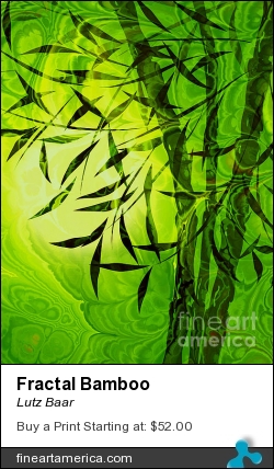 Fractal Bamboo by Lutz Baar - Digital Art