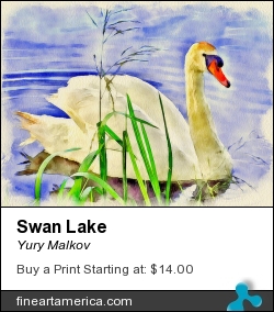 Swan Lake by Yury Malkov - Digital Art - Digital Media