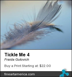 Tickle Me 4 by Fraida Gutovich - Photograph - Photography