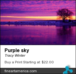 Purple Sky by Tracy Winter - Photograph - Photography, Digital Art