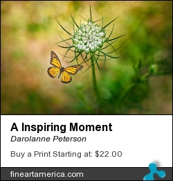 A Inspiring Moment by Darolanne Peterson - Photograph - Photography