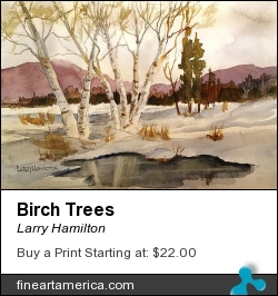 Birch Trees by Larry Hamilton - Painting - Watercolor