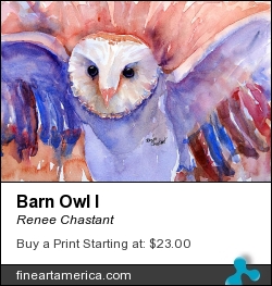 Barn Owl I by Renee Chastant - Painting - Watercolor On Paper