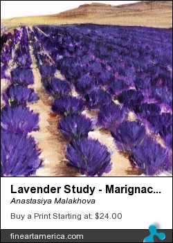 Lavender Study - Marignac-en-Diois by Anastasiya Malakhova - acrylic on watercolor paper
