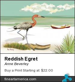 Reddish Egret by Anne Beverley - Painting - Watercolors
