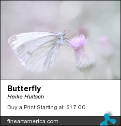 Butterfly by Heike Hultsch - Photograph - Fotografie