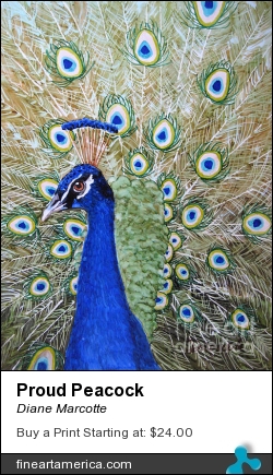 Proud Peacock by Diane Marcotte - Painting - Alcohol Ink On Yupo