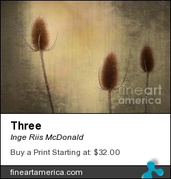 Three by Inge Riis McDonald - Photograph - Photography