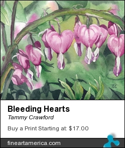 Bleeding Hearts by Tammy Crawford - Painting - Watercolor