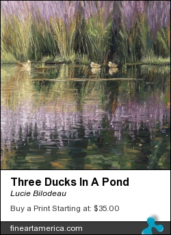 Three Ducks In A Pond by Lucie Bilodeau - Painting - Oil On Canvas Panel
