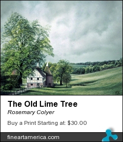 The Old Lime Tree by Rosemary Colyer - Painting - Pastel On Board