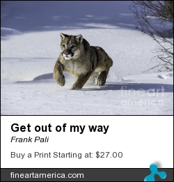 Get Out Of My Way by Frank Pali - Photograph - Digital Images