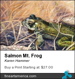 Salmon Mt. Frog by Karen Hammer - Painting - Watercolor