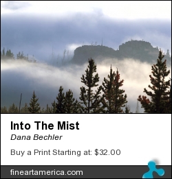 Into The Mist by Dana Bechler - Photograph - Digital Photography