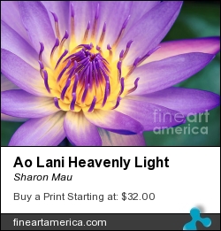 Ao Lani Heavenly Light by Sharon Mau - Photograph - Photography - Fine Art