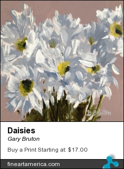 Daisies by Gary Bruton - Painting
