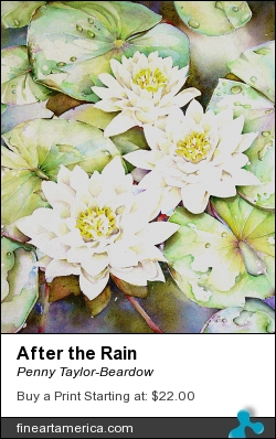 After The Rain by Penny Taylor-Beardow - Painting - Watercolour