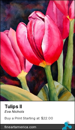Tulips II by Eva Nichols - Painting - Watercolor