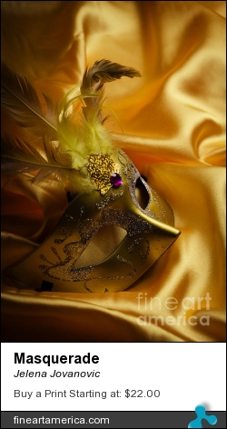 Masquerade by Jelena Jovanovic - Pyrography