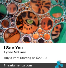 I See You by Lynne McClure - Photograph - Photography