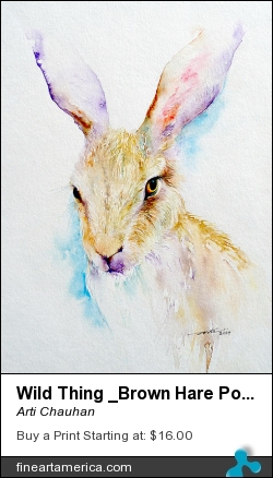 Wild Thing _brown Hare Portrait by Arti Chauhan - Painting - Watercolour On Paper
