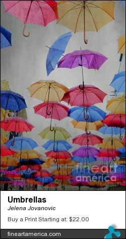 Umbrellas by Jelena Jovanovic - Pyrography - Photographs