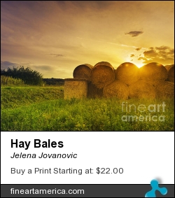 Hay Bales by Jelena Jovanovic - Pyrography - Photographs