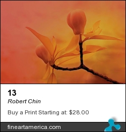 13 by Robert Chin - Photograph - Photographs