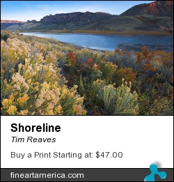 Shoreline by Tim Reaves - Photograph - Photography